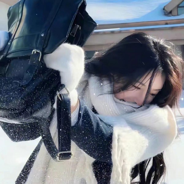 贼婆翻身记