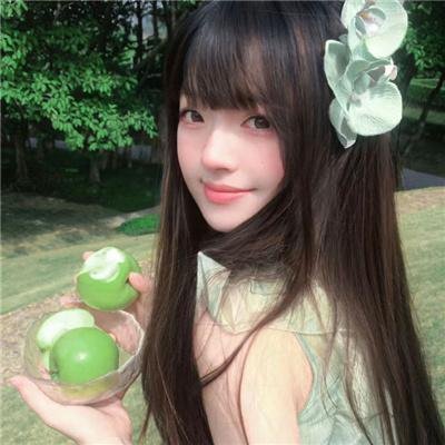 花园蜘蛛